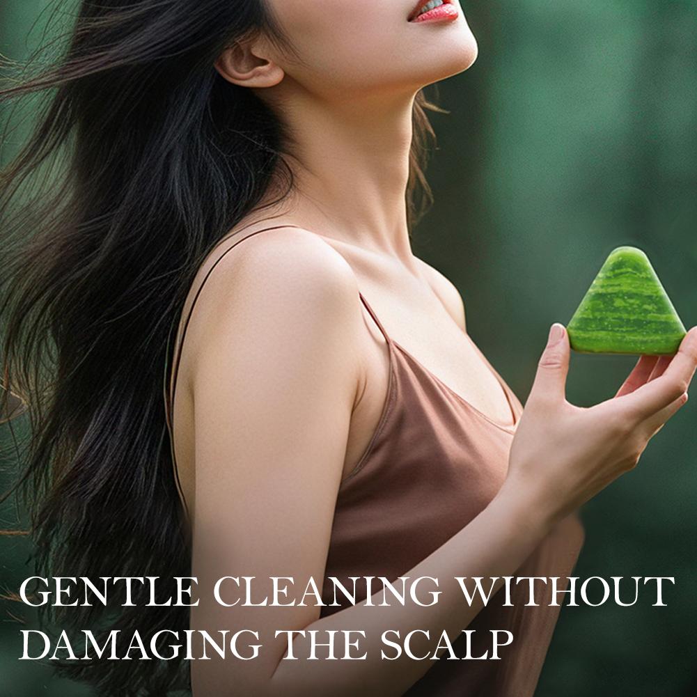 Natural Herbal Shampoo Soap Br - Hair Care Brand 리뷰 및 가격