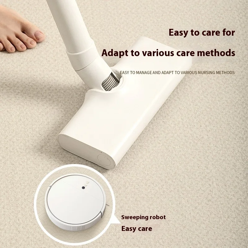Waterproof Living Room Carpet  - Hair Care Homemade 리뷰 및 가격